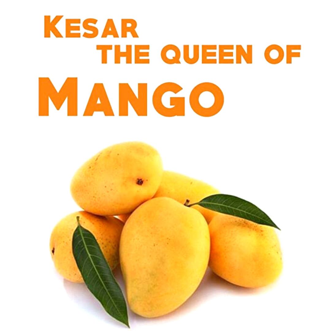Fresh Kesar Mango | Fresh Kesar Mango box 6pcs.
