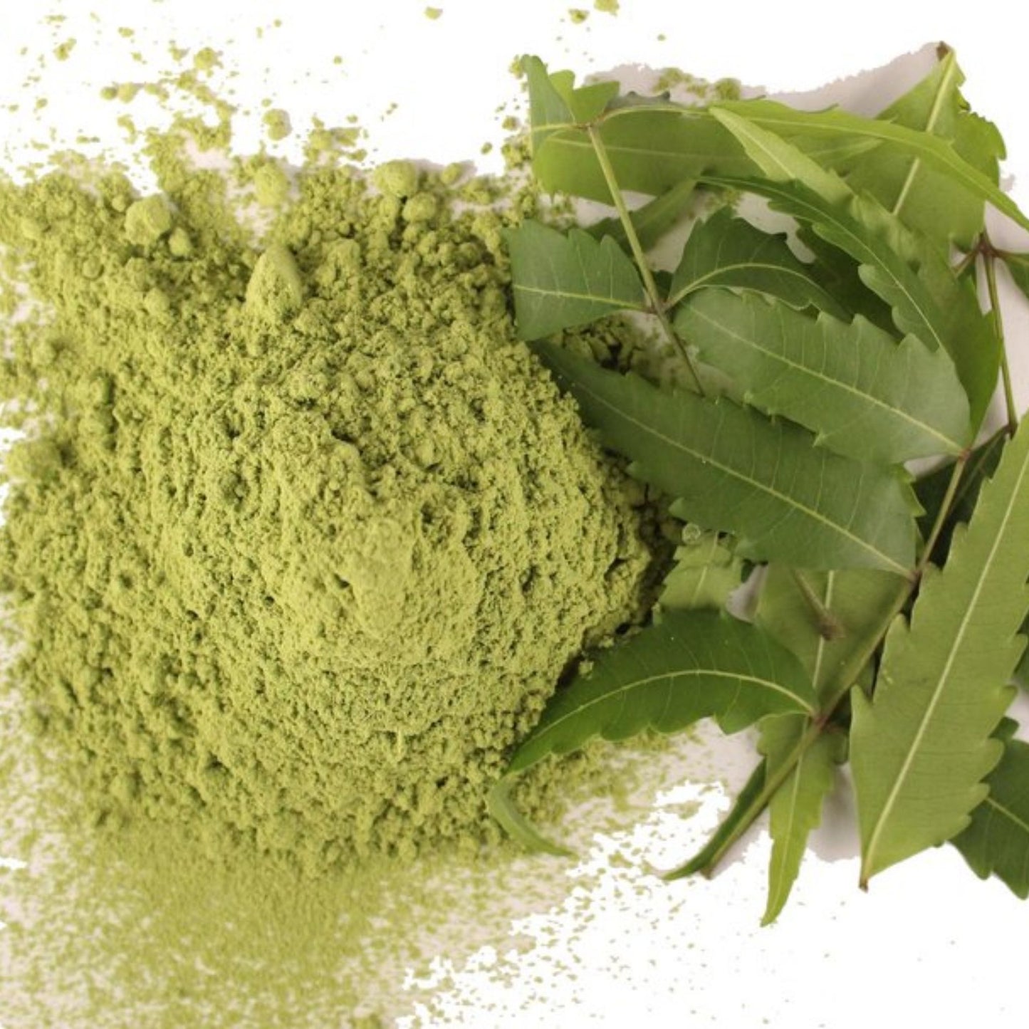 Neem en Polvo (Margosa Árbol/Azadirachta indica) | Neem Powder 100g Hesh