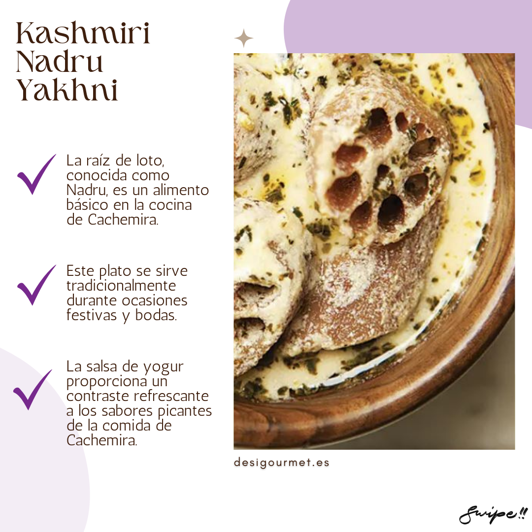 Fresh lotus root 500g for making traditional Kashmiri Nadru Yakhni with yogurt-based gravy.Raíz de loto fresca 500g para hacer Nadru Yakhni tradicional de Cachemira con salsa de yogur.
