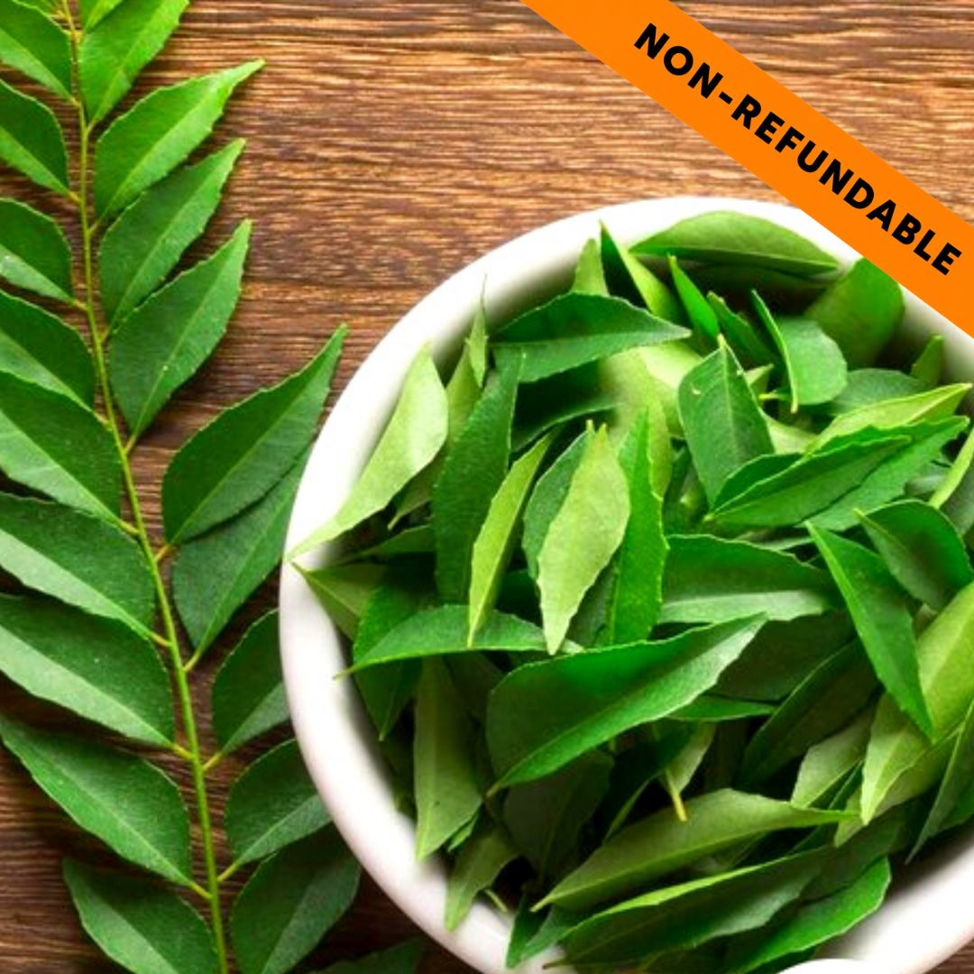 Fresh Curry Leaves | Curry Leaves Fresh (Bunch) 50g