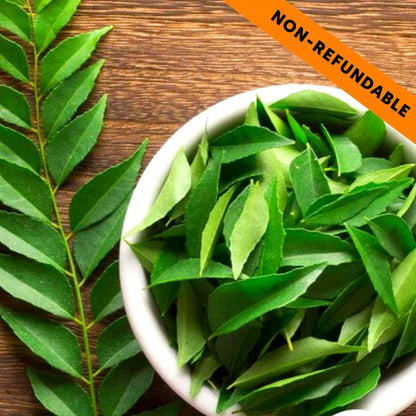 Fresh Curry Leaves | Curry Leaves Fresh (Bunch) 50g