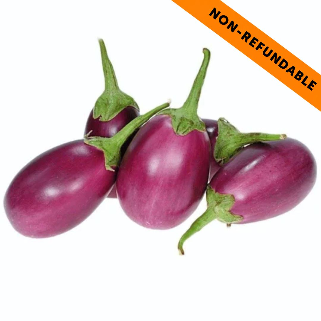 Eggplant | Indian Small (Baingan) Brinjal - 500g