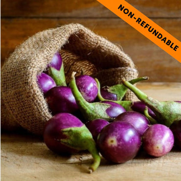Berenjena | Indian Small (Baingan) Brinjal - 500g