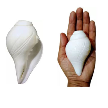 Caracola que sopla | Blowing Conch Shell | Pure Natural Shankh M Size with Loud Echo Sound